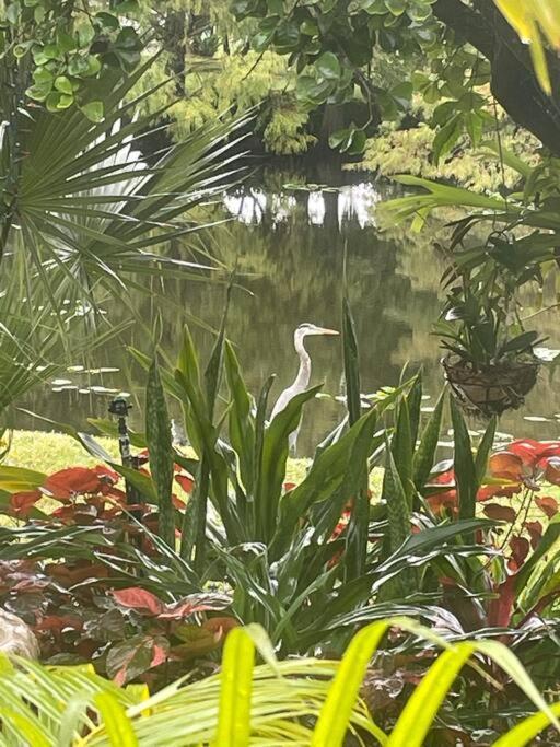 Unwind Island Villa West Palm Beach Bagian luar foto